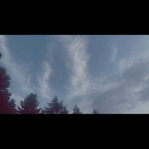 Meet your Posher, Sophie